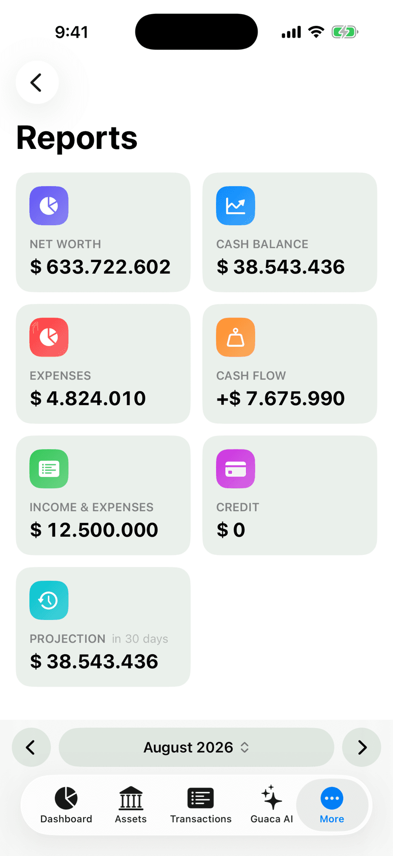 Net worth, expense and cash-flow reports in the Guaca app